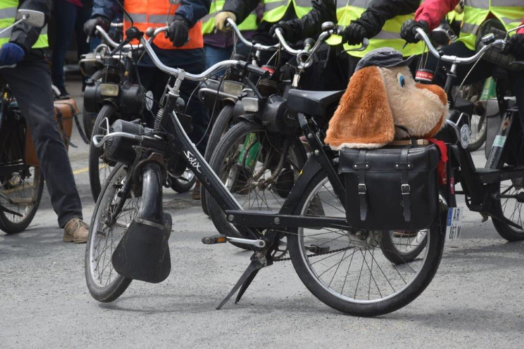 CLUB SOLEX IL DE RE