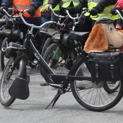 CLUB SOLEX IL DE RE